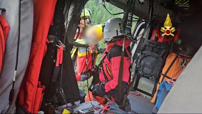 e79cc38c-eb40-4018-8cc7-bee20a9c2c4c