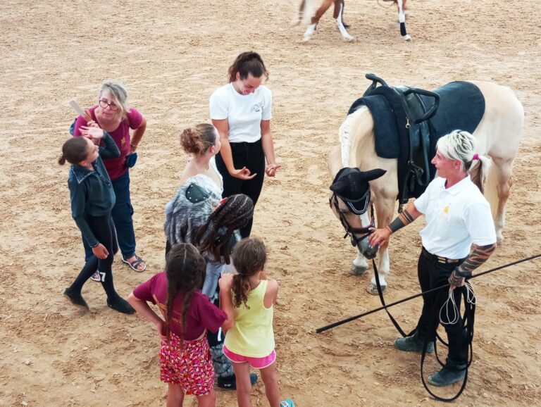 eafdd80c-14c3-406c-924d-d2045735943a