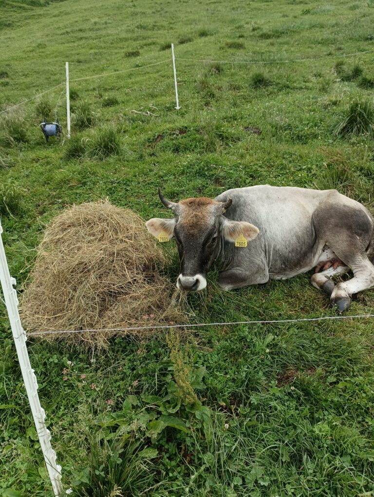 fb7cbb63-d807-48eb-a49e-46334f4b3f8f