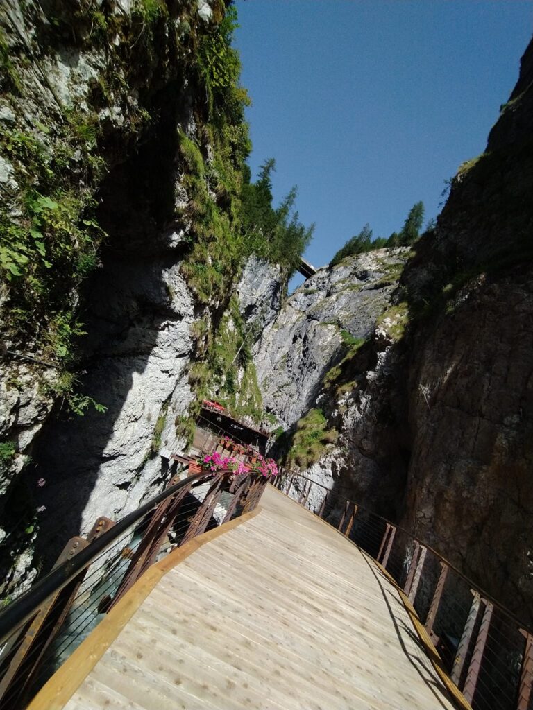 fda8cbd5-1d8c-46e6-8f60-192d514da7e3