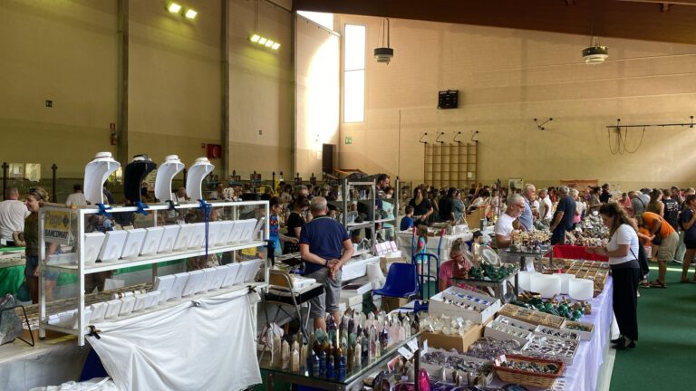 05017d03-d39f-4f3f-9220-40af18278a26