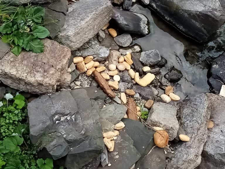 0e1895dc-514a-4d8c-9e87-487c0fd23eda