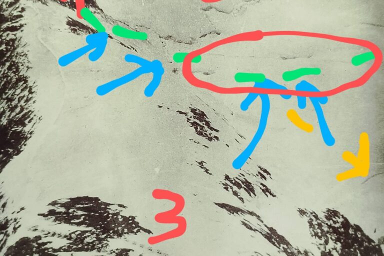 21742232-d5c8-4395-99fd-0d5bdbe840f7