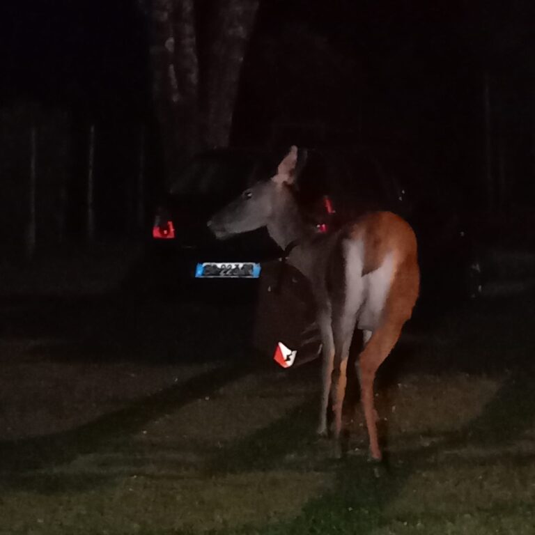 314b7bc0-f08e-411b-9333-849b8692a9ab