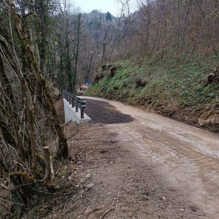 8ca3b5c4-98b2-43d4-94df-06c909a5cf1c