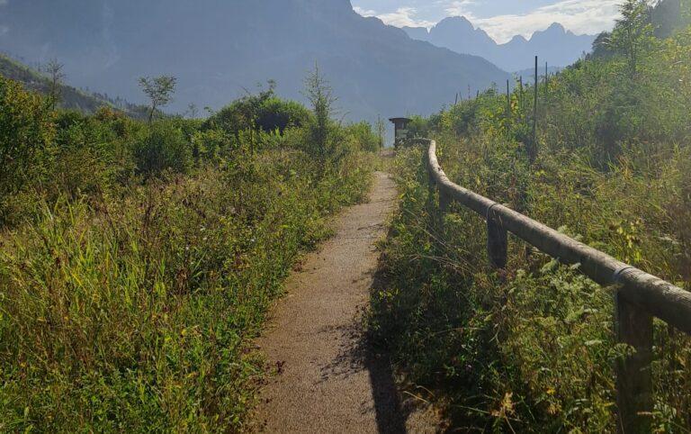 8ed7fd36-0cca-430c-87ba-69a7d31b12af