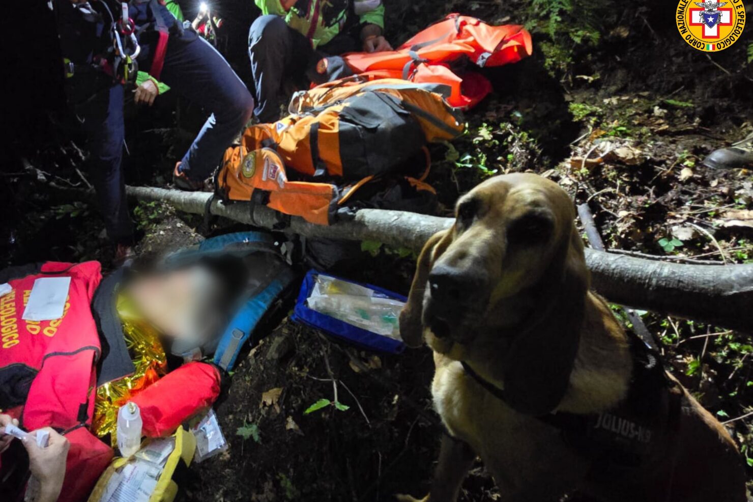 Watermark_20240821_135643_013