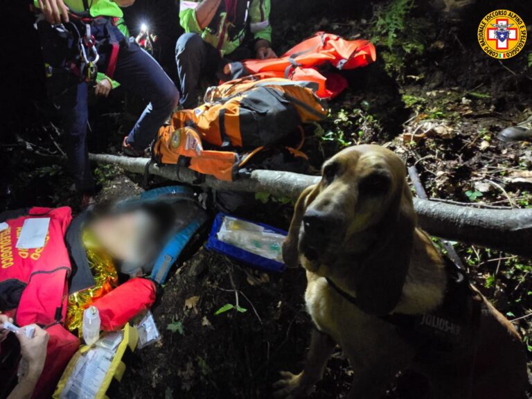 Watermark_20240821_135643_013