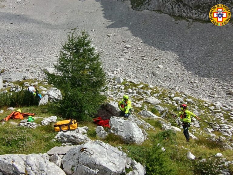 Watermark_20240824_182622_606