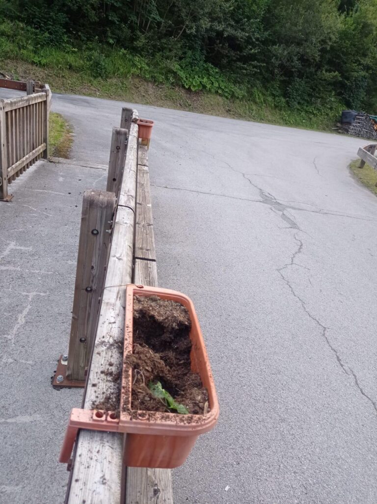 WhatsApp Image 2024-08-10 at 10.17.26