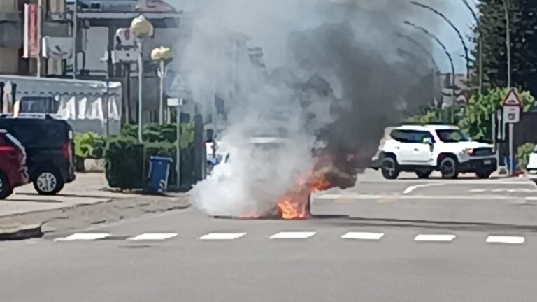 b0079115-24c1-412c-baab-456a7274a22b