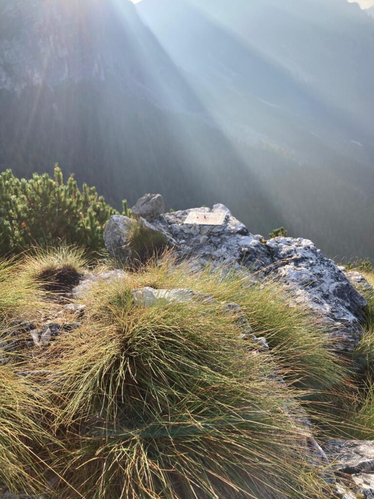 b77376eb-be16-4b06-9301-99f42b1fd768