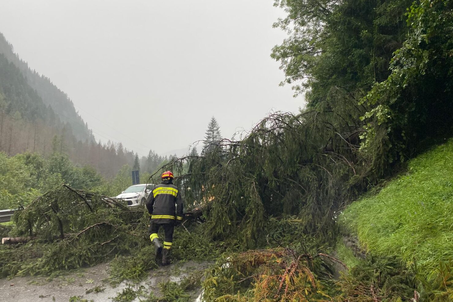 bc4d0826-9de3-4f00-bab9-de9a742daeab