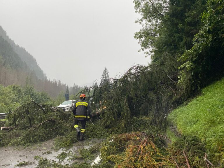 bc4d0826-9de3-4f00-bab9-de9a742daeab