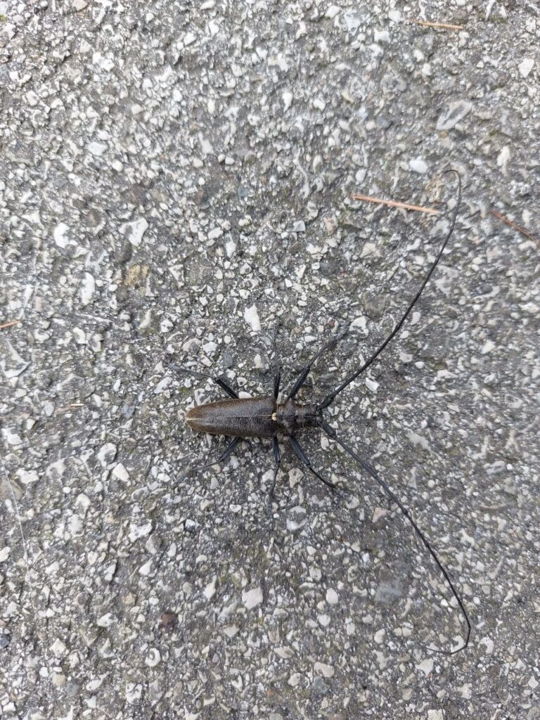 f1e187fe-6462-40af-a89d-8da30eb6fd94