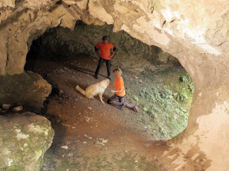 0db4f943-df1f-4c5e-83cd-76b8593e1ec1