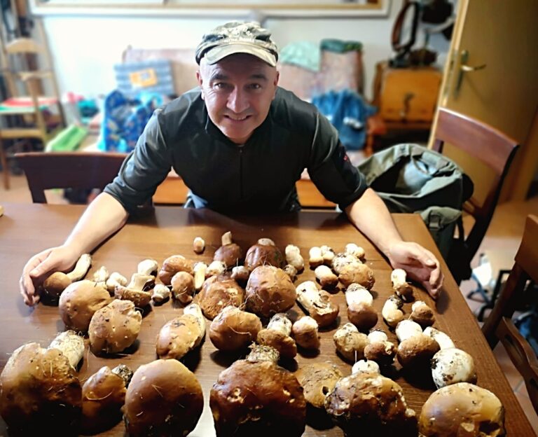 227558b7-4d9c-40dc-bdd1-25ed8dfe7189-1