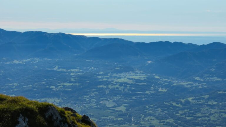 4266219f-3f89-4ea3-98ee-376abdc78c58