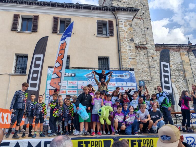 4e603e8d-7a1d-4e88-89b2-d5c851494841