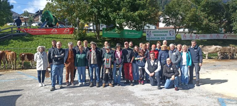 54aedefe-10c4-4c6b-9109-46ee7e904dbb