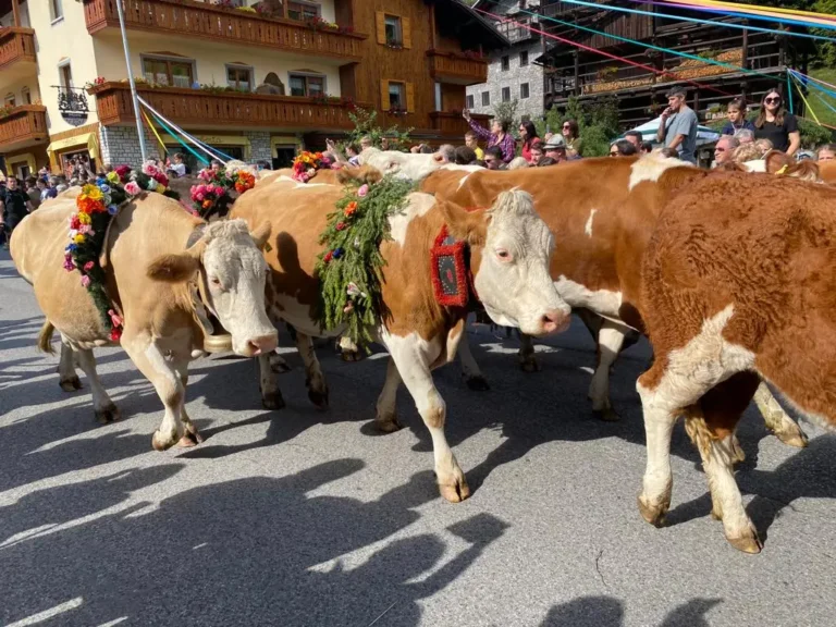 5952aa2c-649a-439d-9ec9-ab419ccd4e6a