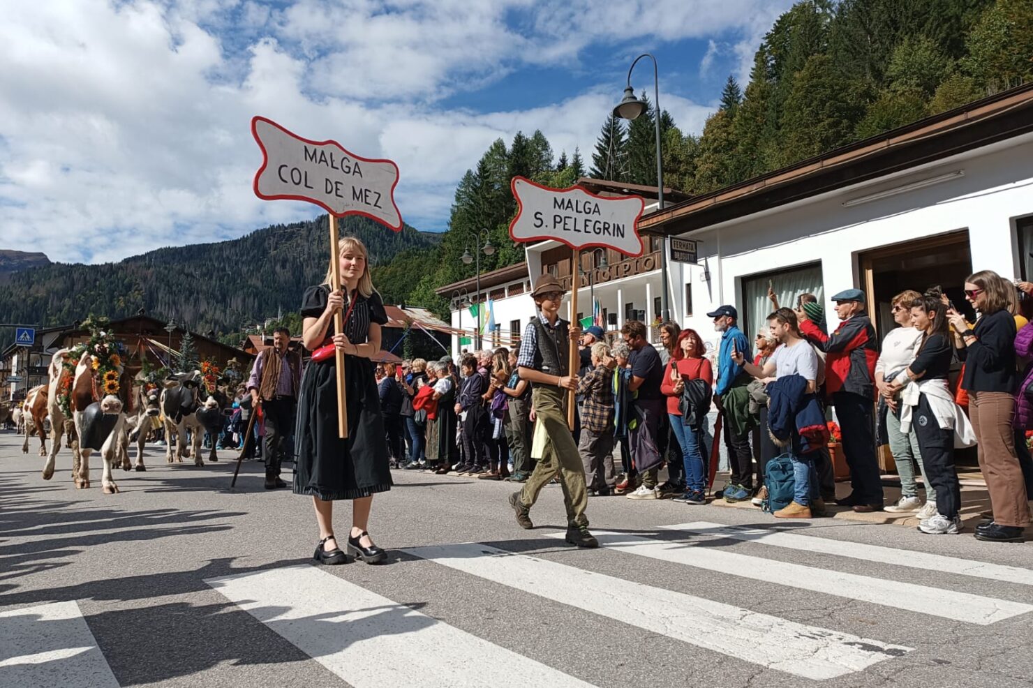 5f77609a-0772-4e8e-b5c6-0e082067aa46