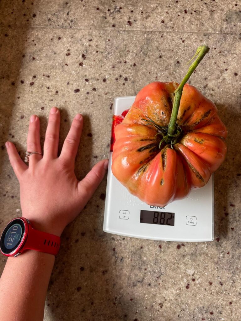 6d976ba8-2b2d-4dbf-8f88-6eb0149f1c7d