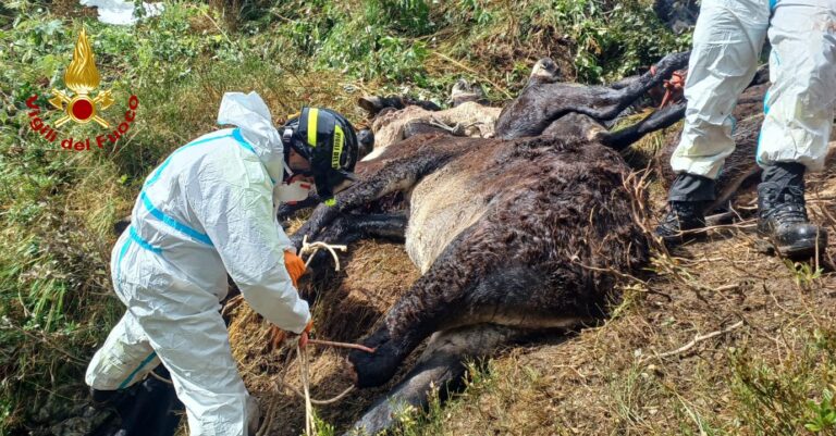 cbe71ad3-6f69-4ab9-90fd-721722b260d1