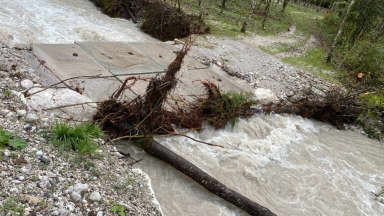 28d6b9e5-f2df-4801-8e0a-27f6bd5909fc