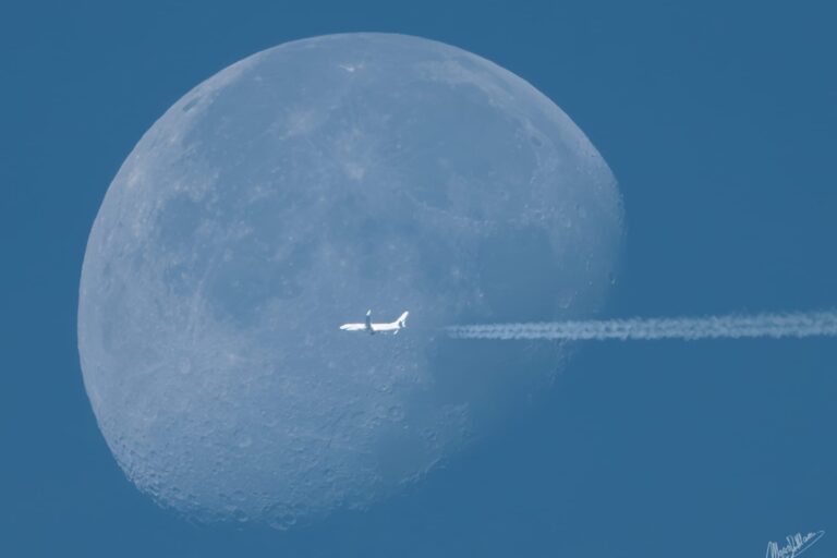 2b769772-f114-4cd0-833c-7ec30f0cd100
