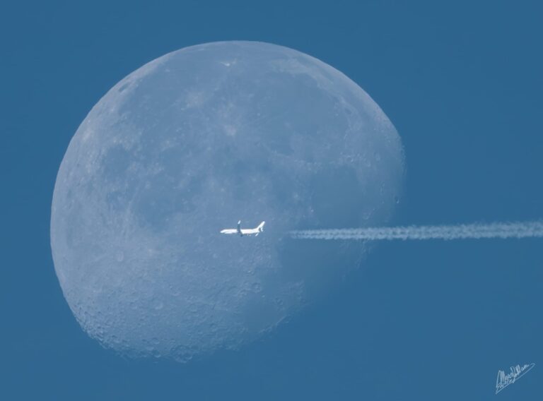 2b769772-f114-4cd0-833c-7ec30f0cd100