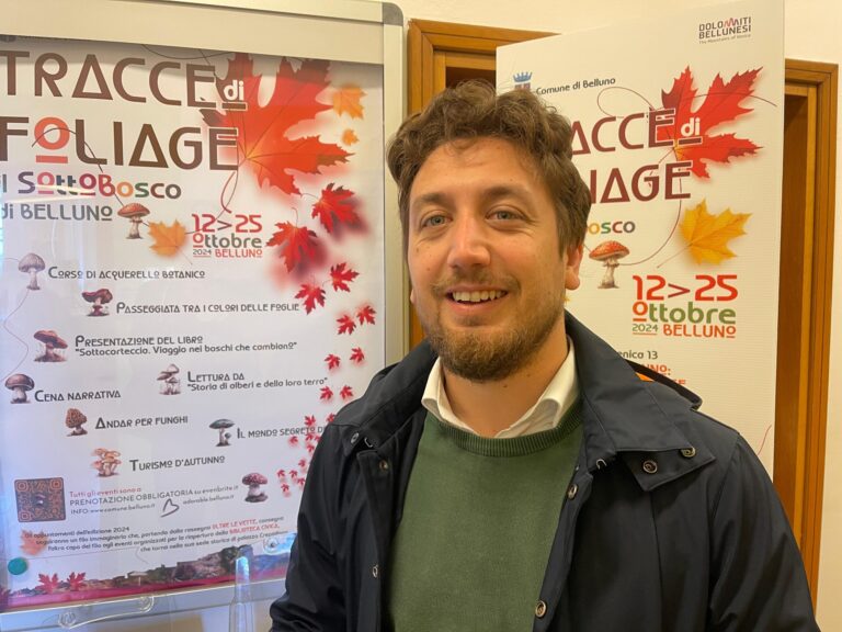 43760122-af88-4a12-91f5-29dbf3bd5d6d