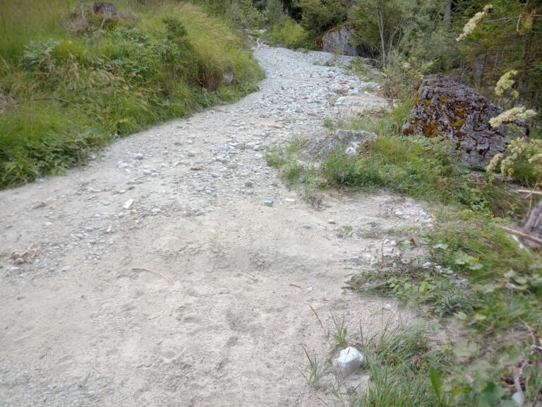 4b6e2c20-2eb0-4f33-8544-e8ac4be9605a