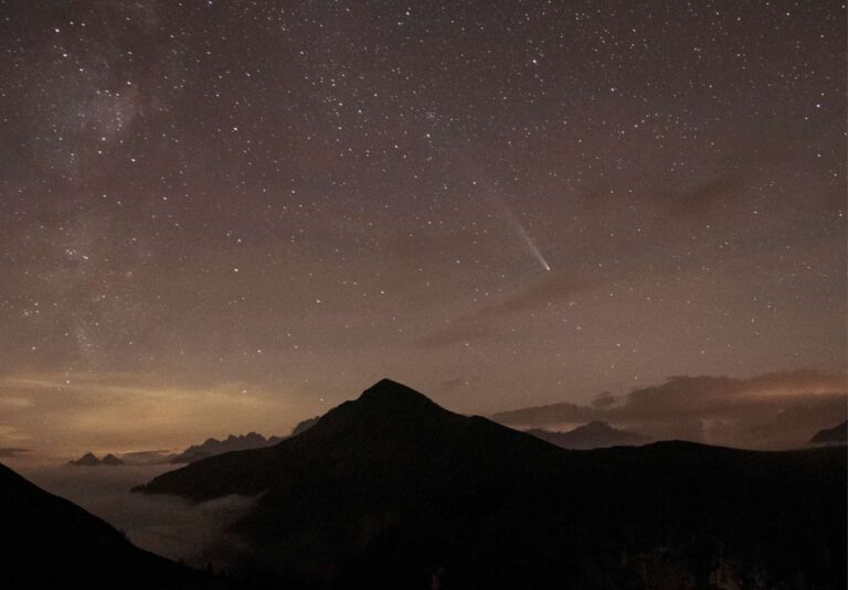 51e831d4-0091-4a7a-a28d-35e54f81d925