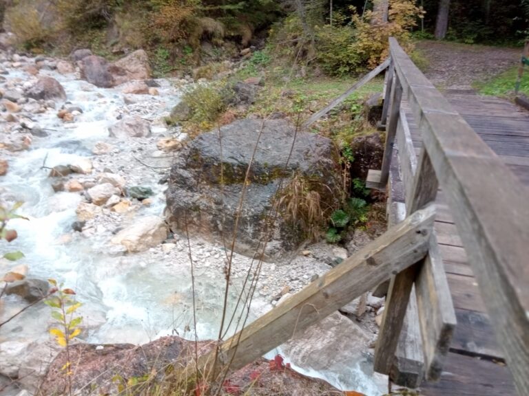 5597d851-f6b3-4bd9-84ff-f59429e9259b