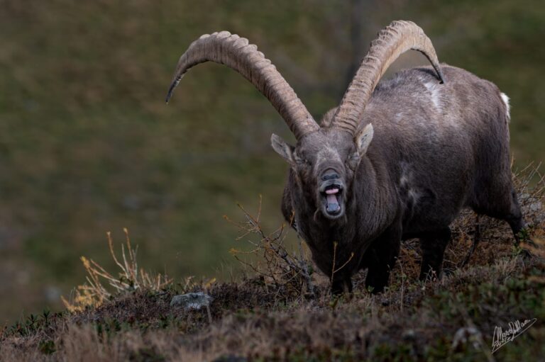 79dec6f7-4a47-4cdb-8ba5-3d41e6264826