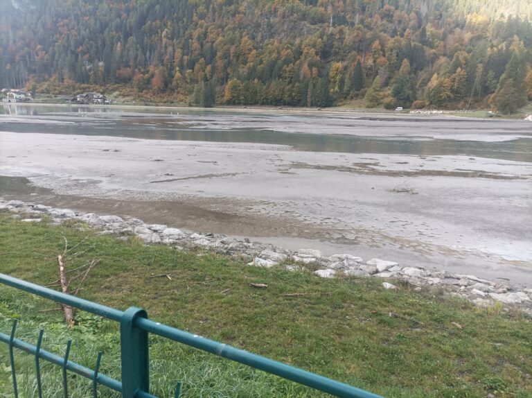 80a755f6-09a7-400f-9bee-1111c871c96b