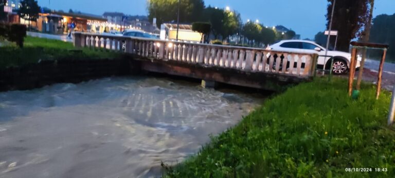 8f1715db-037c-4df9-92dd-f9a2cad3551f