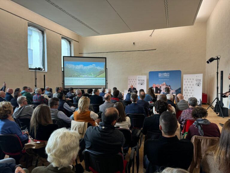 IMG-20241005-WA0000(1)