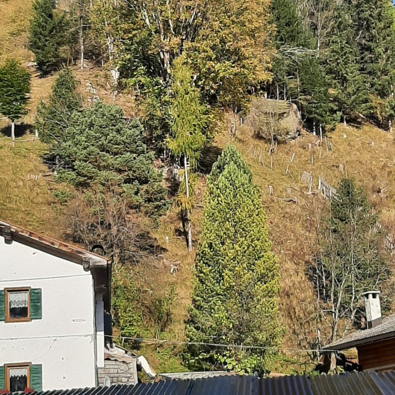 bc8ea07a-52d6-43e1-b8a1-d56dc3d1c177