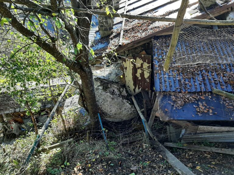 fc9c9a11-f83b-495c-8775-4d42b859e88d