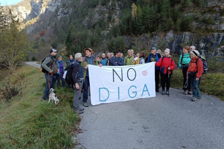 foto (2)