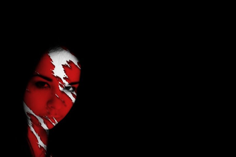 psychosis-388874_960_720