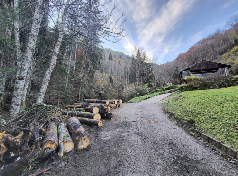 01f81437-bc7d-4ef7-a42f-c257d8c15c9d