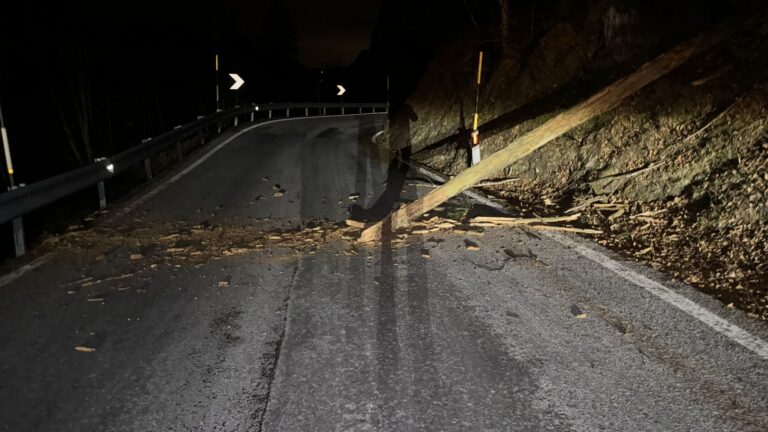 467765769_1240097437249086_9120145637525195904_n