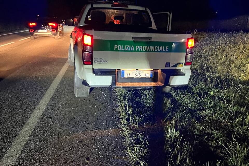 96f9a916-1f19-4704-b522-b2e4dda50158