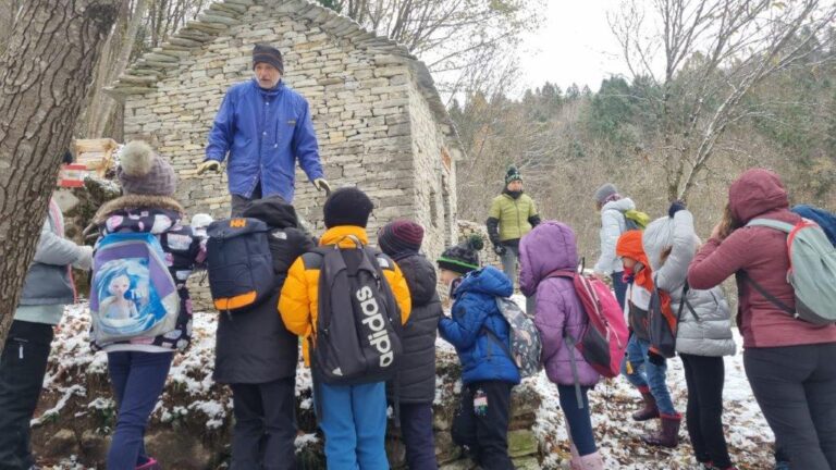 Immagine WhatsApp 2024-11-22 ore 12.50.50_d2b20276