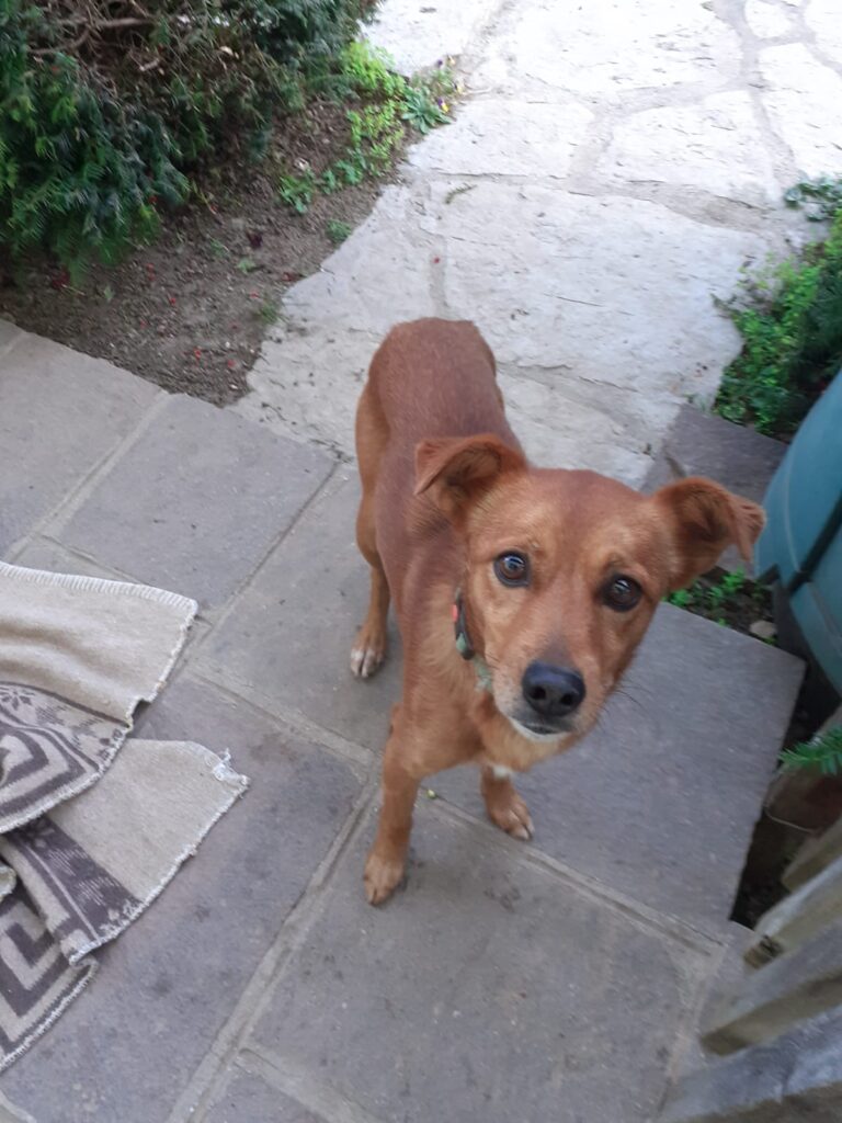 f0099dcc-90c3-461d-9e7d-b519c5eb6878