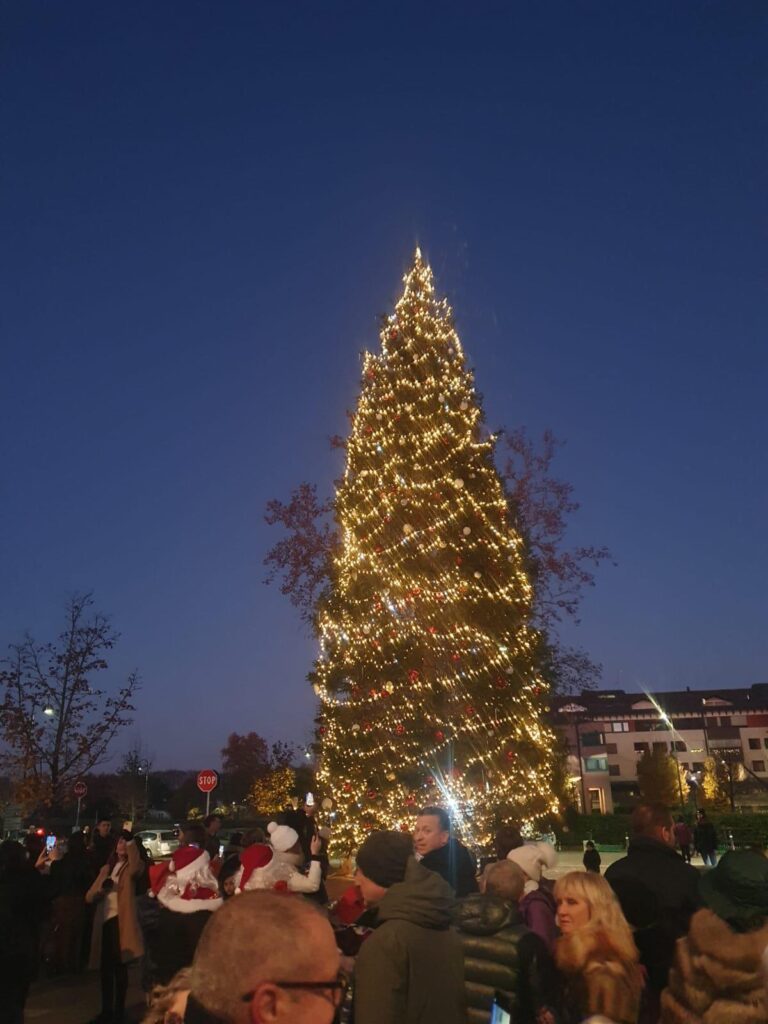 0fe60884-02d6-4b99-93fb-2866a37ecb56