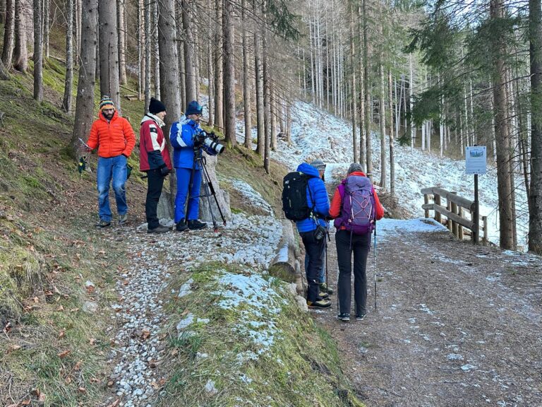 2b1acba1-703c-4e8b-b036-ed7e5b3b79ec-1